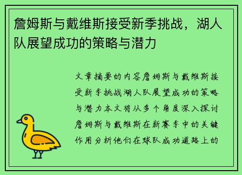 詹姆斯与戴维斯接受新季挑战，湖人队展望成功的策略与潜力